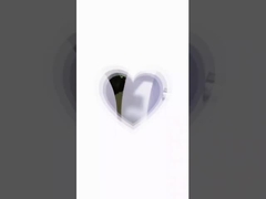 Кири Видео 2